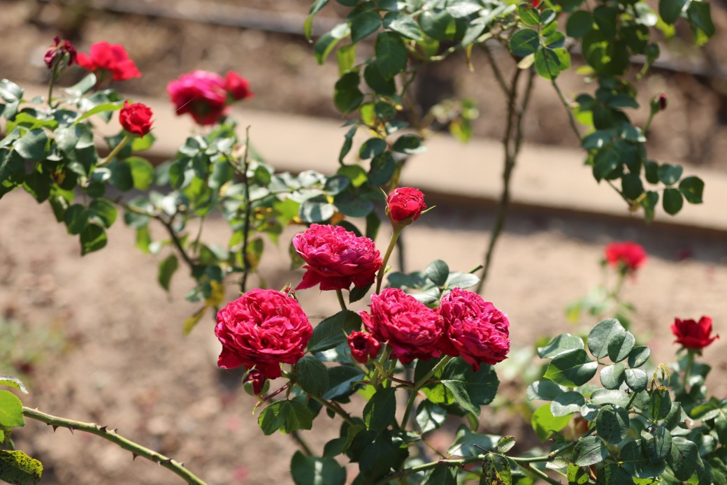 FILE-20260222-1120LUALG4ARN7GG