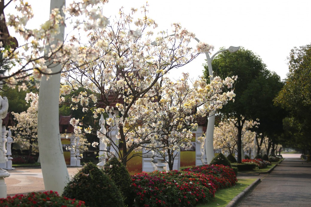 FILE-20260222-1216FGTWT2K4GXDV