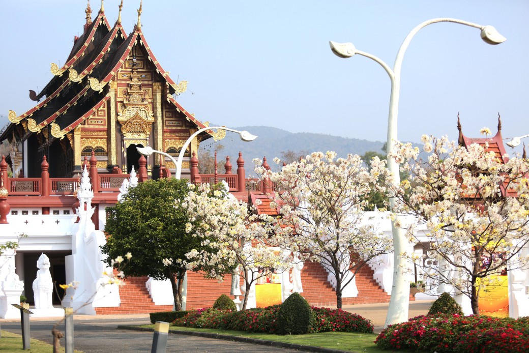 FILE-20260222-1223FANMB7VHYGUL