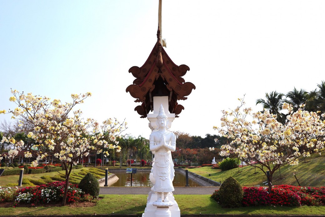 FILE-20260222-1225EW1Q7DNNAFZL