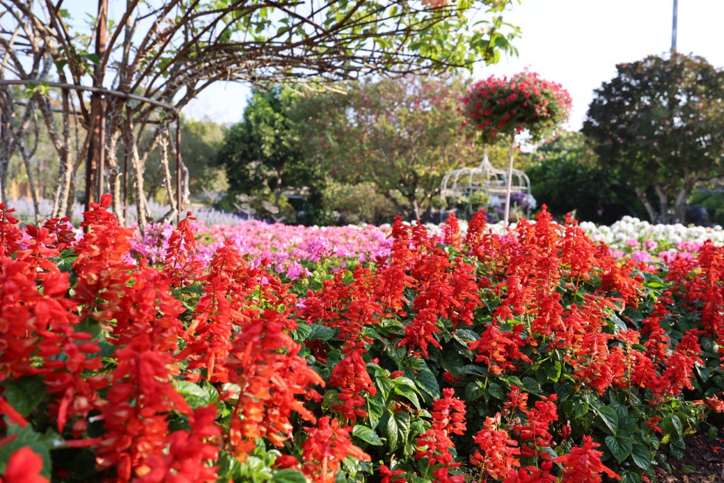 FILE-20260222-1229VD7BTQAEXE2Z