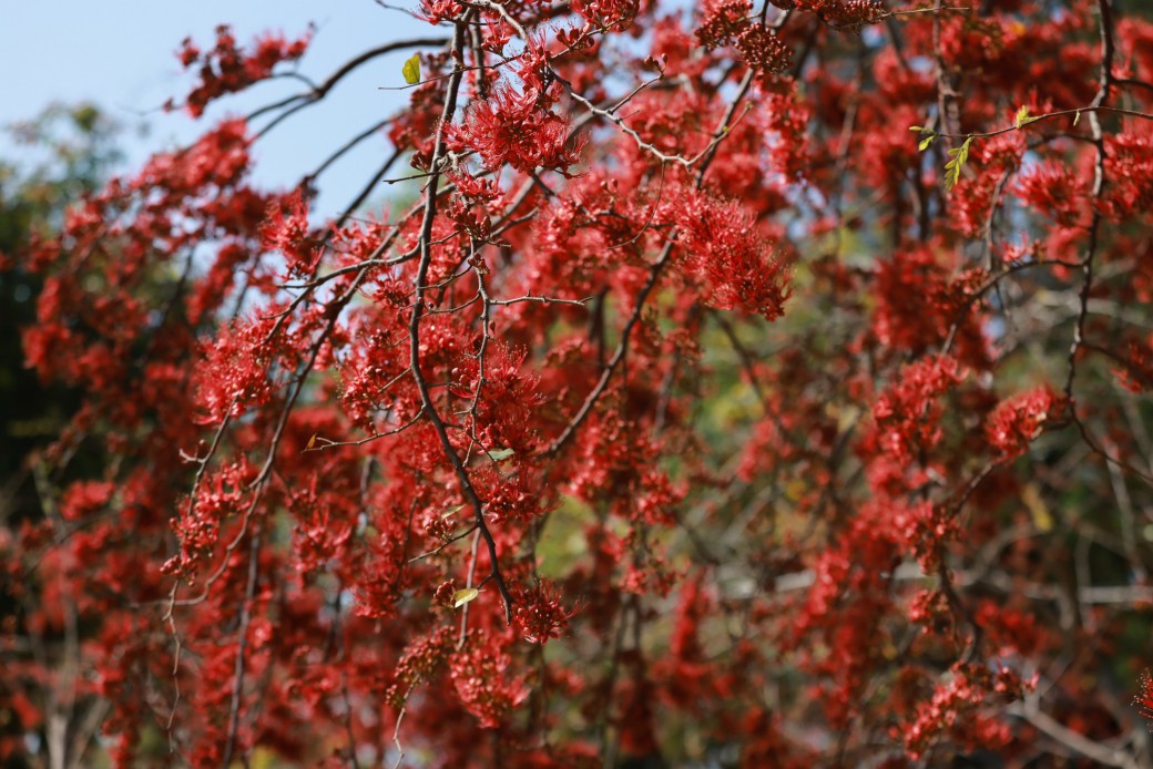 FILE-20260222-1232CR9X5274C5ZF