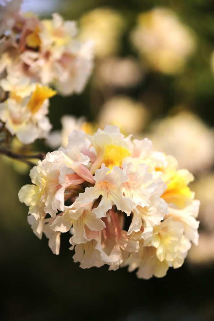 FILE-20260222-1243HUY2VC8XXHE6