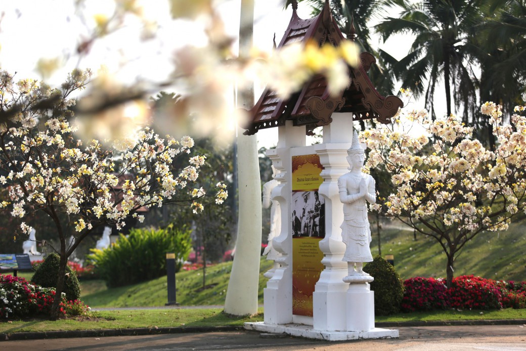 FILE-20260222-1246F8UHFZQ55LPP