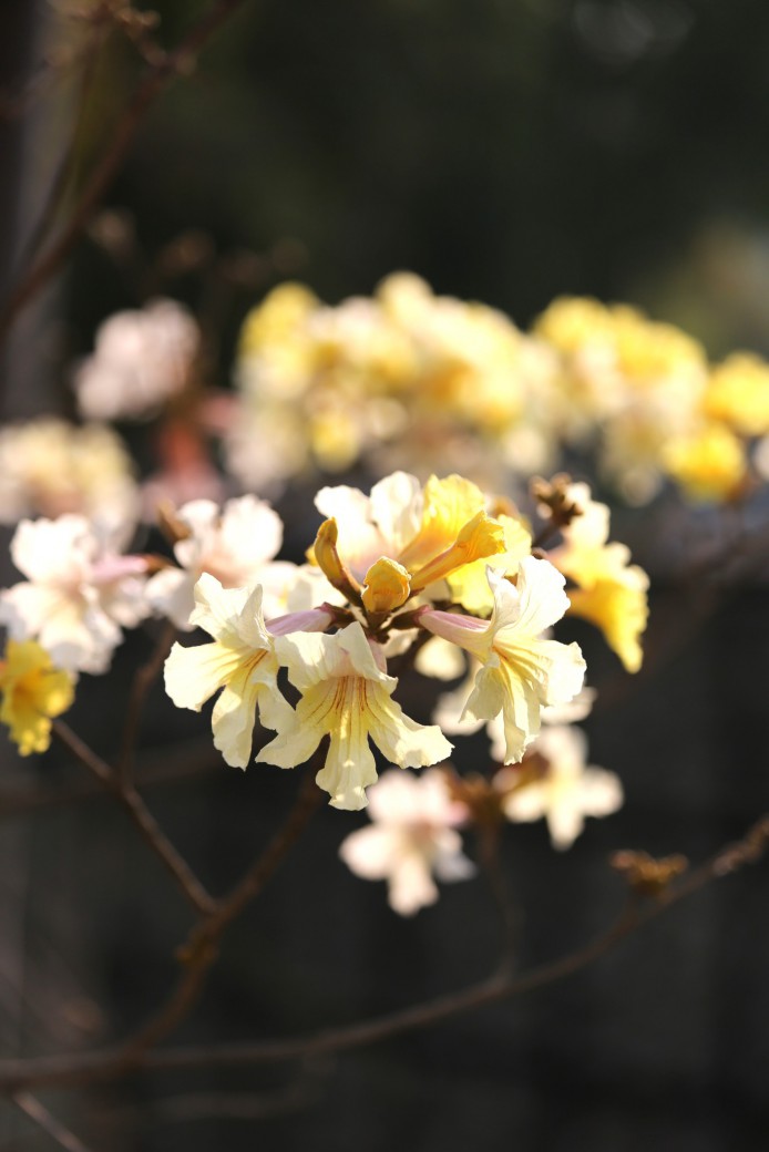 FILE-20260222-1254DZV3A1HJ2LD9