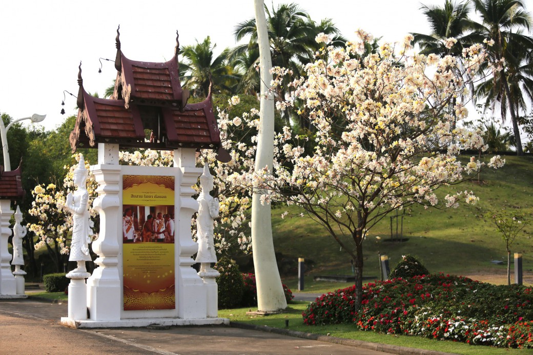 FILE-20260222-12584AXX2NZTT9A9