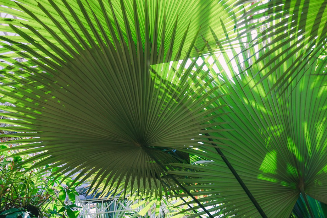 FILE-20260222-1304PXKK2F21X6DB