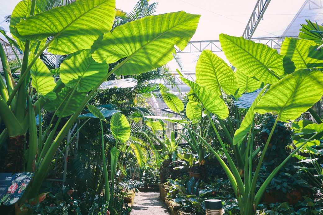 FILE-20260222-13097DSNRQAR28HZ