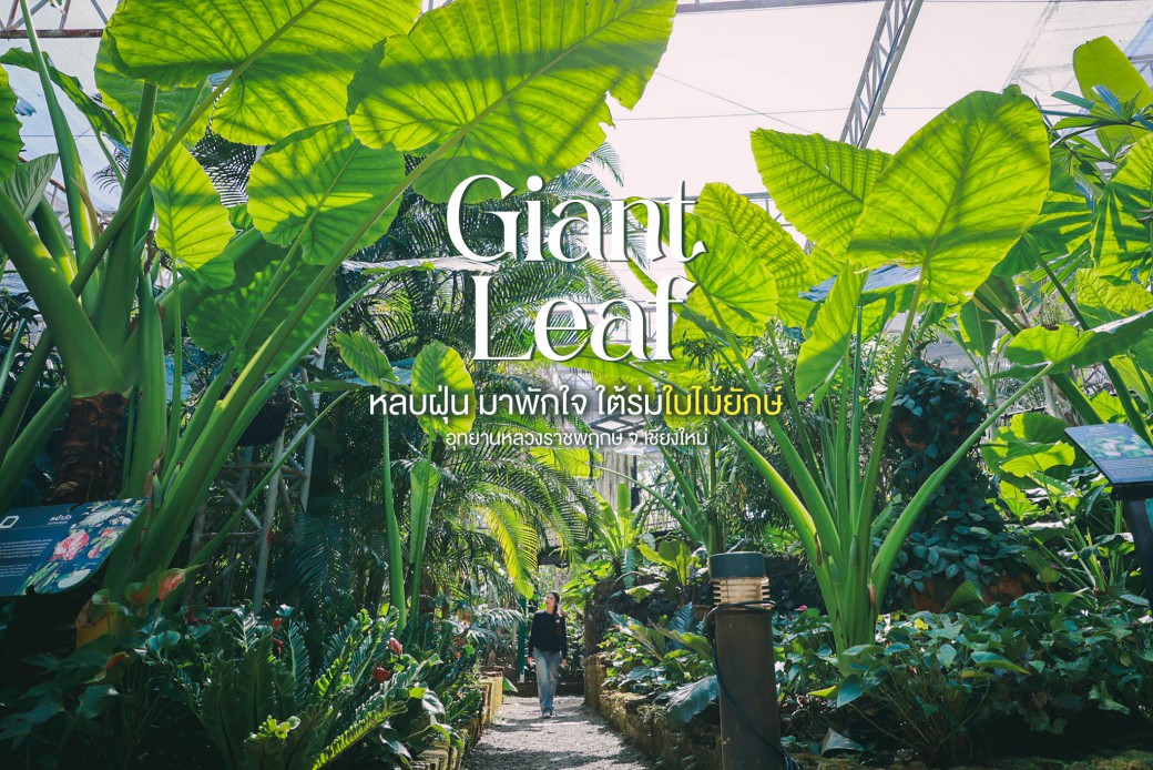 FILE-20260222-13107Q3B2GBR59VG