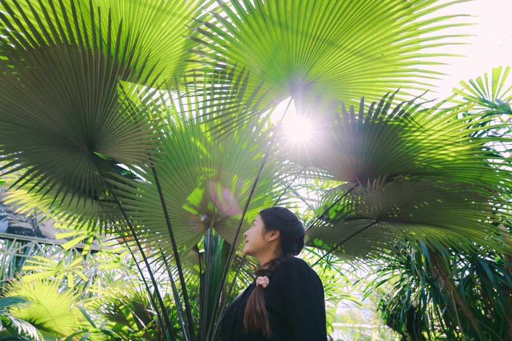 FILE-20260222-13356FQM6H9STNET