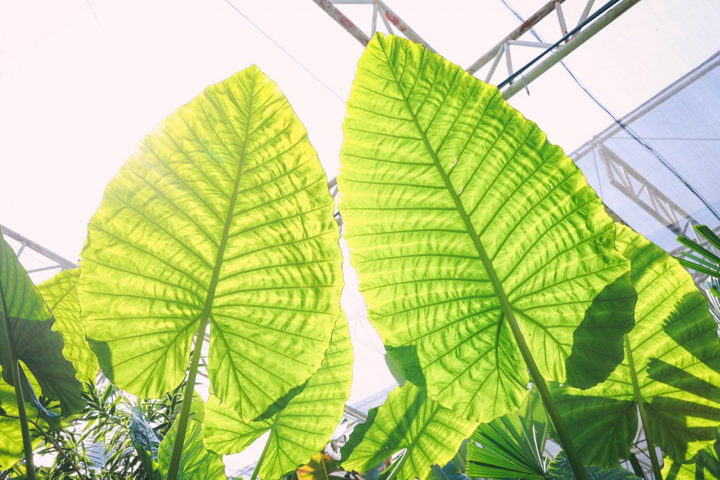 FILE-20260222-13359ZKKZT889VFT