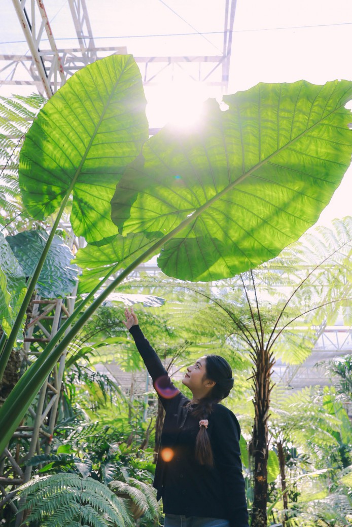 FILE-20260222-13401FUUAGJXA8ZL