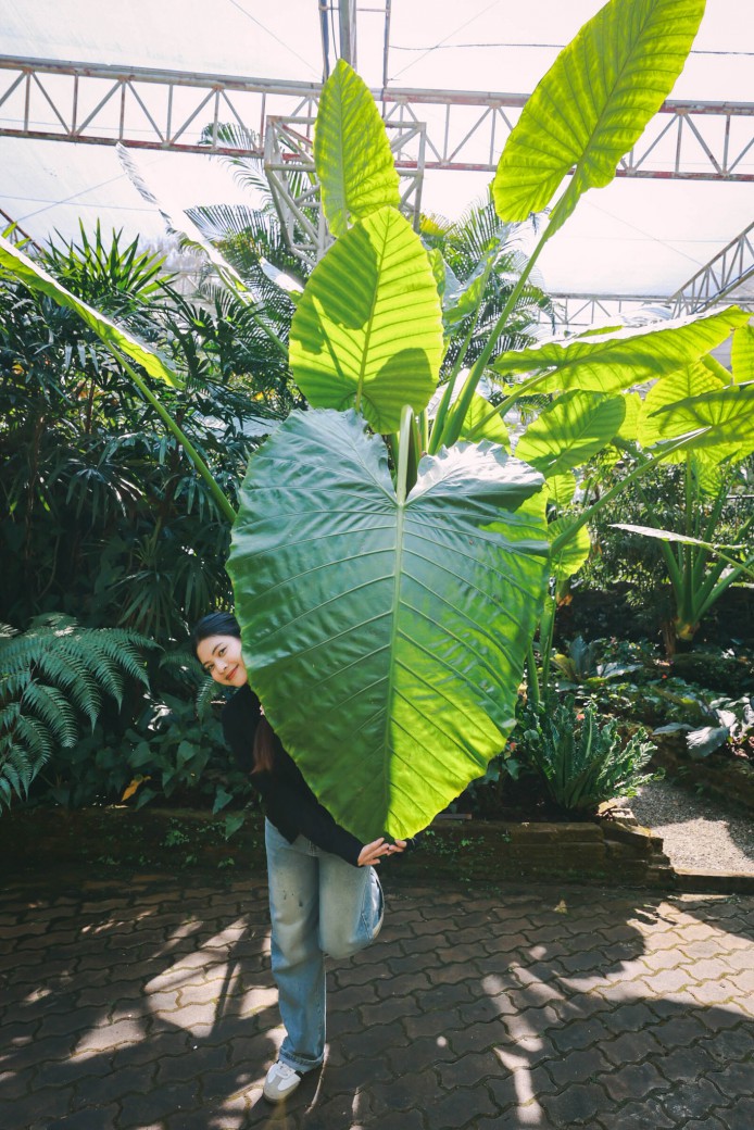 FILE-20260222-1341YU4P9B3E5DXT