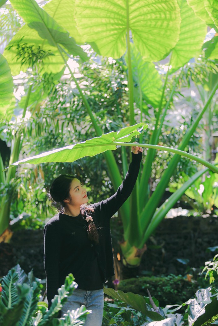 FILE-20260222-1350PD4NPU86W2ML