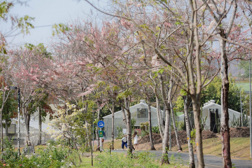 FILE-20260222-1403EA1X6RWX3MV7