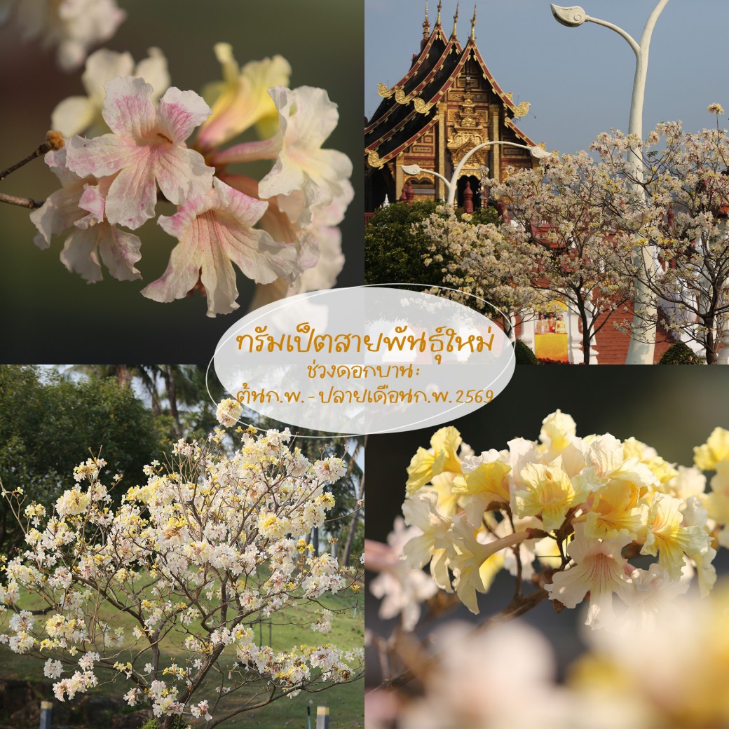 FILE-20260222-1411HWH8P36FMYVM