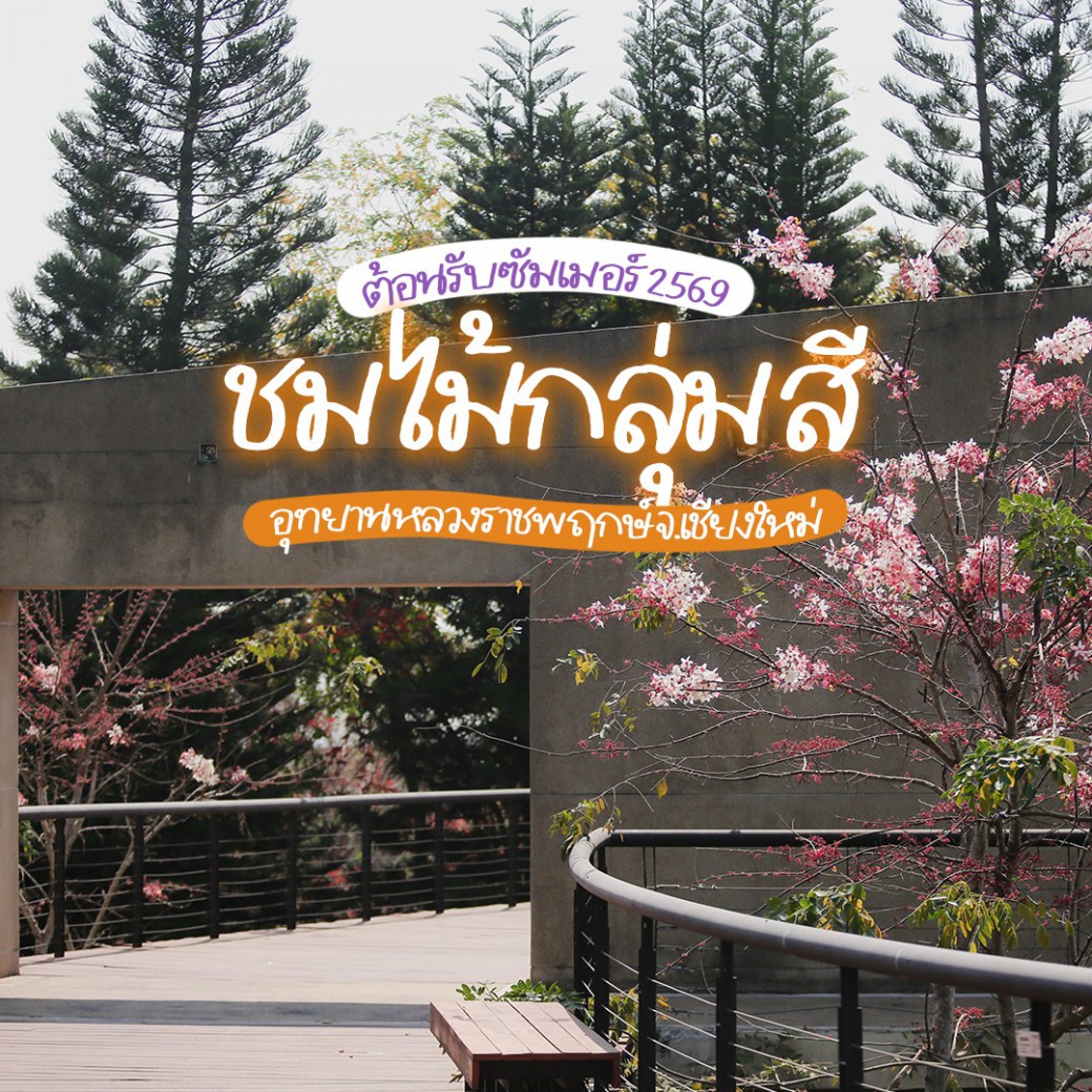 FILE-20260222-1411QTBNHBVQQZHH