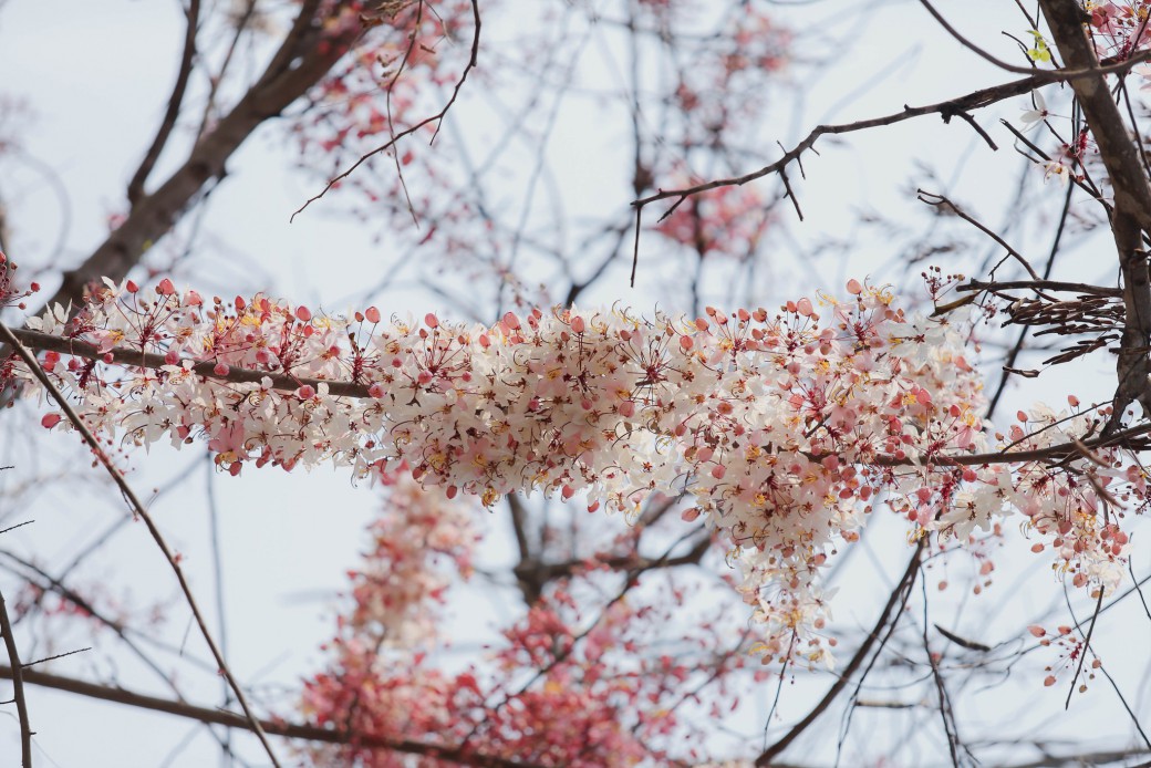 FILE-20260222-14208UWH31Q21PFK