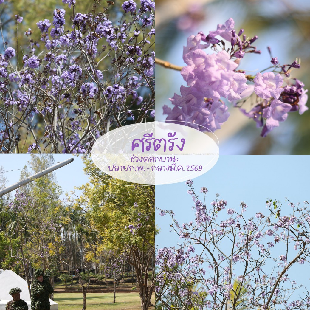 FILE-20260222-1425H4JSN2RTM2ZB