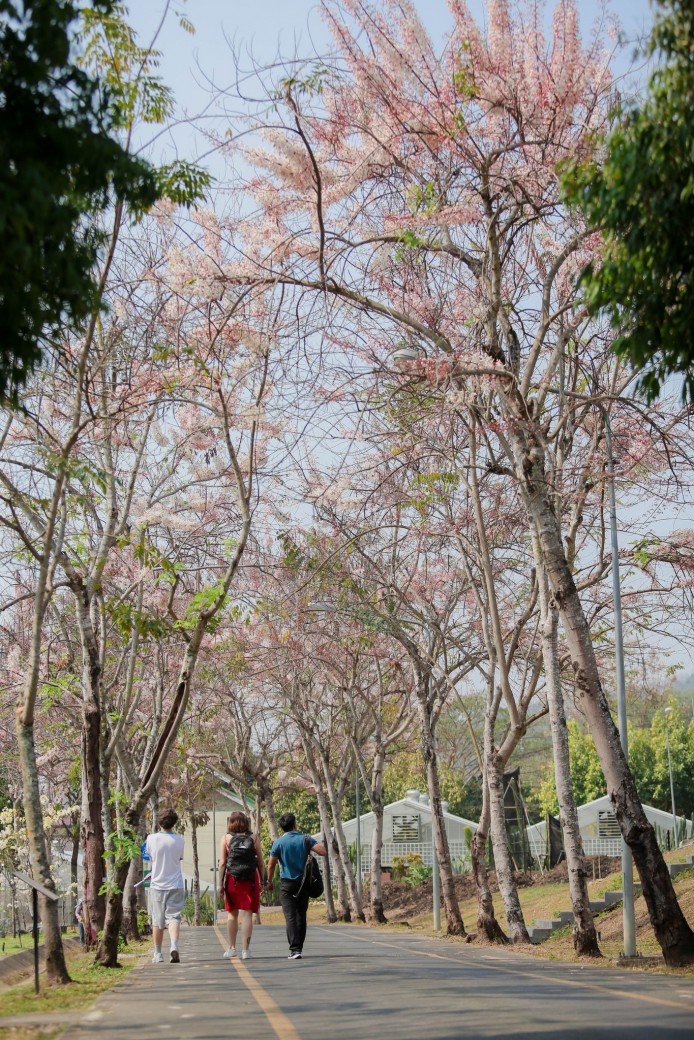 FILE-20260222-1426AUVFWFYJYC9T