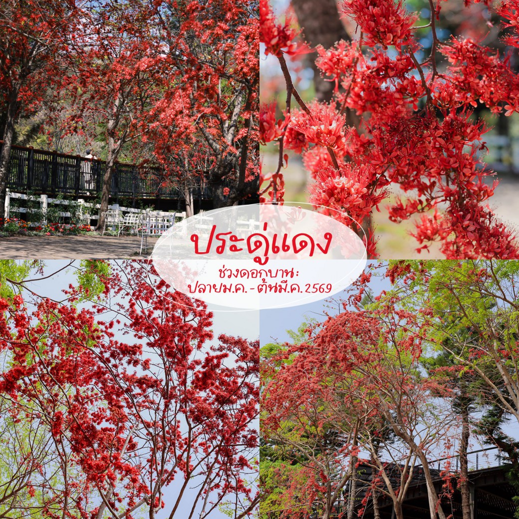 FILE-20260222-1427Z8L8QL6YP7N9