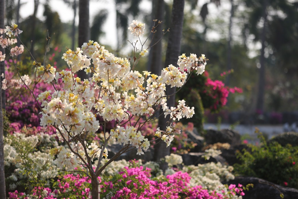 FILE-20260222-143495UMDJKYJ43P