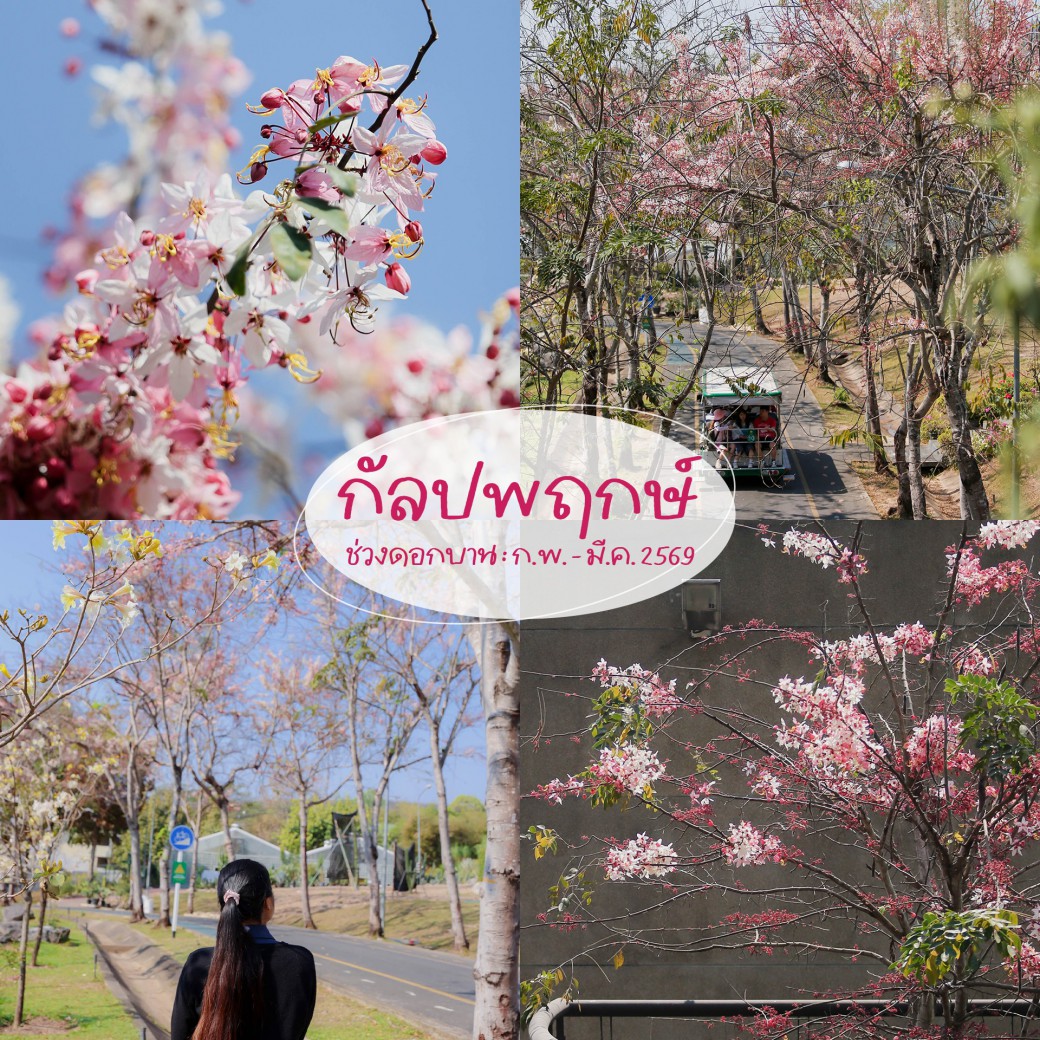 FILE-20260222-143951Y1BNTN5WGT