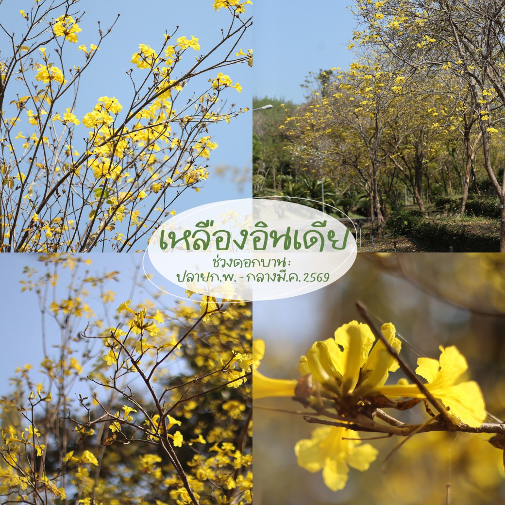 FILE-20260222-1457284RWLV6M8CU