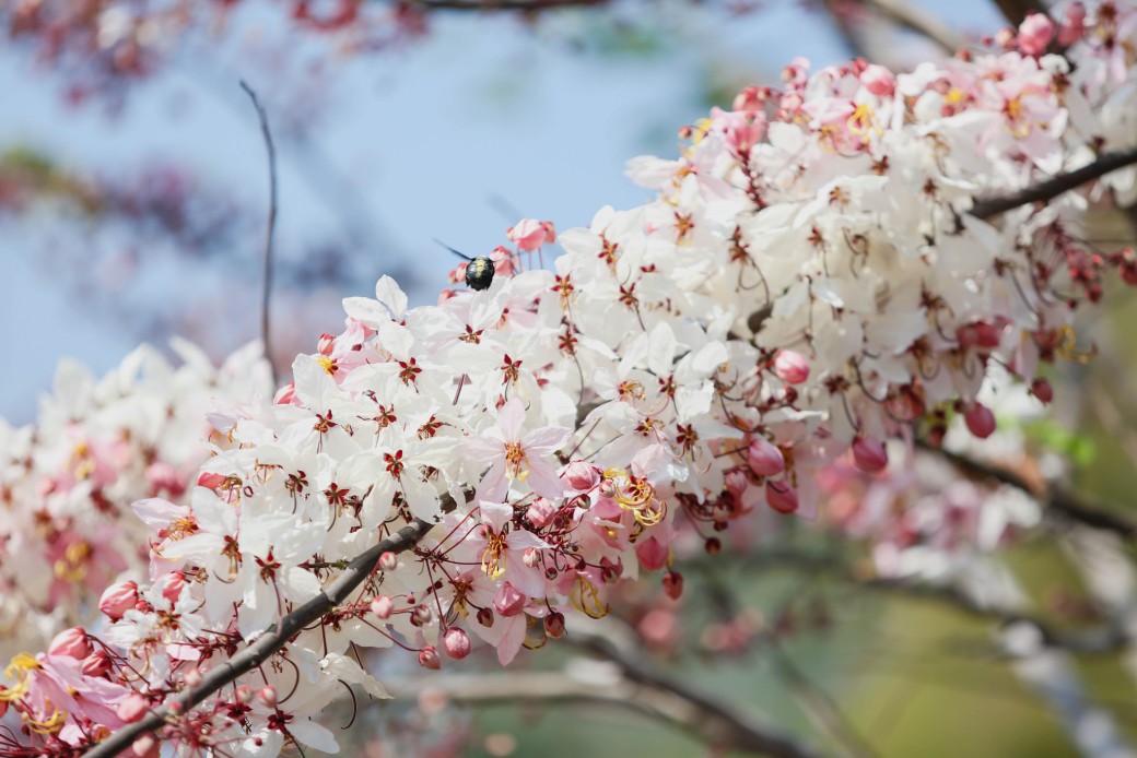 FILE-20260222-1457PTL4422NSAUA