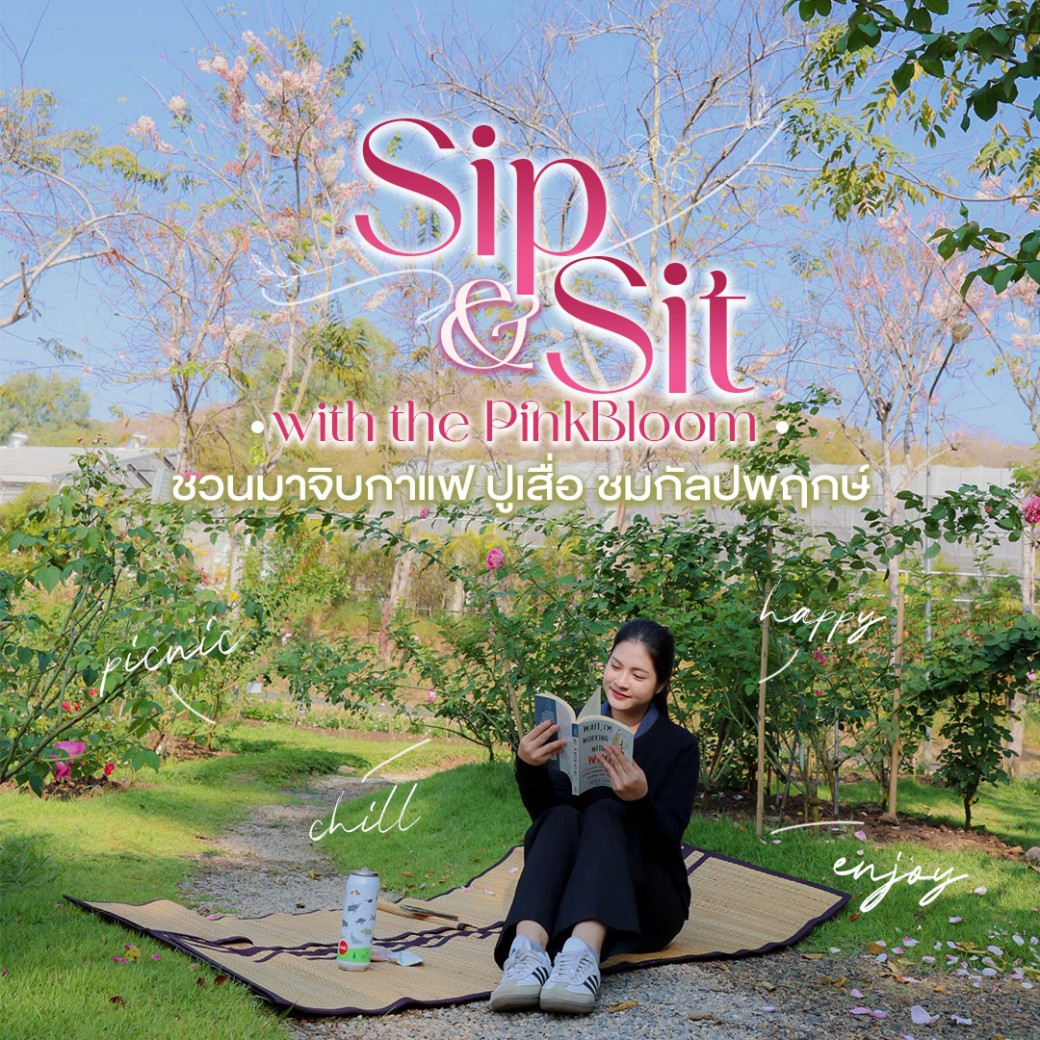 FILE-20260222-1458PCN7SD73SVK6