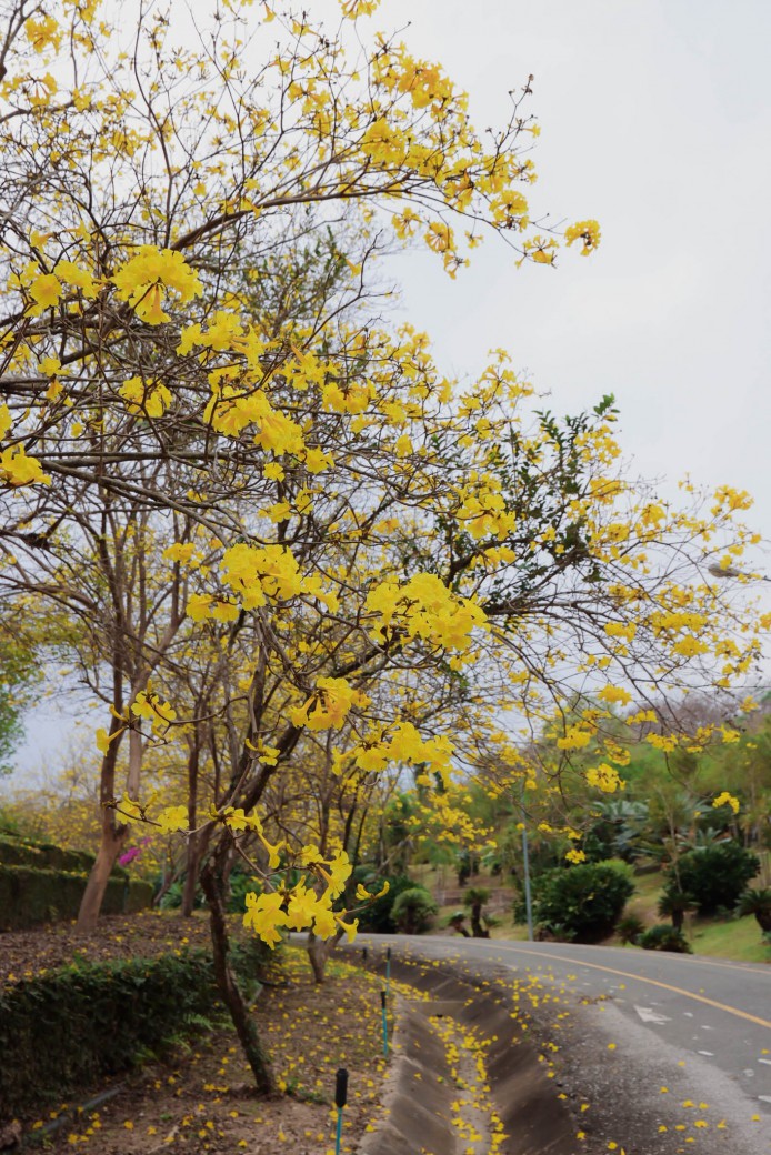 FILE-20260225-1306S2P68WBK6LKG