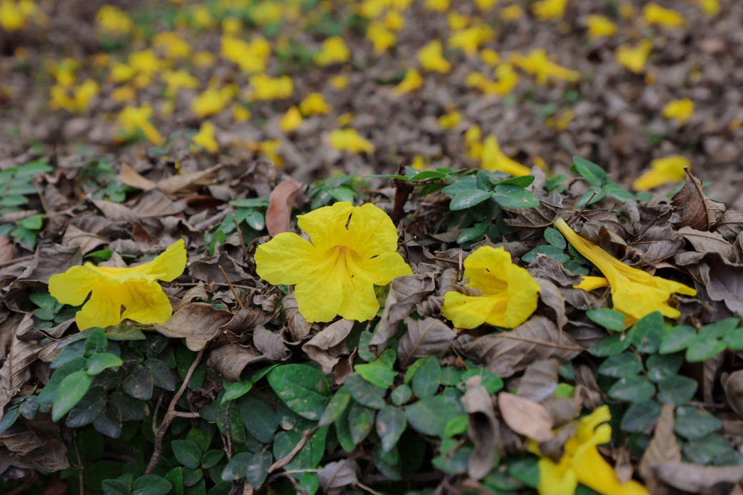 FILE-20260225-131496E3KEESKVJV