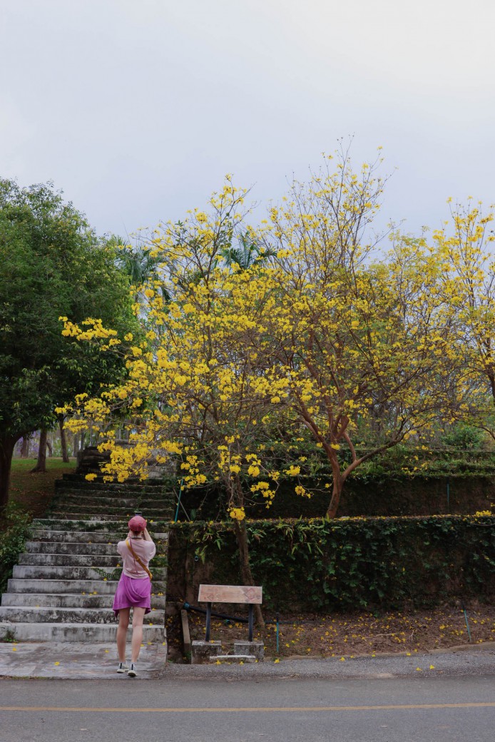 FILE-20260225-1322SX1PEC4LWUYD