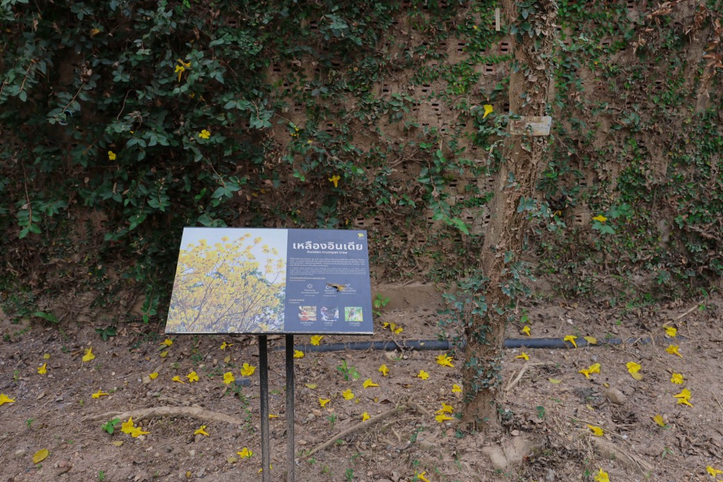 FILE-20260225-132424KHPML98QAB