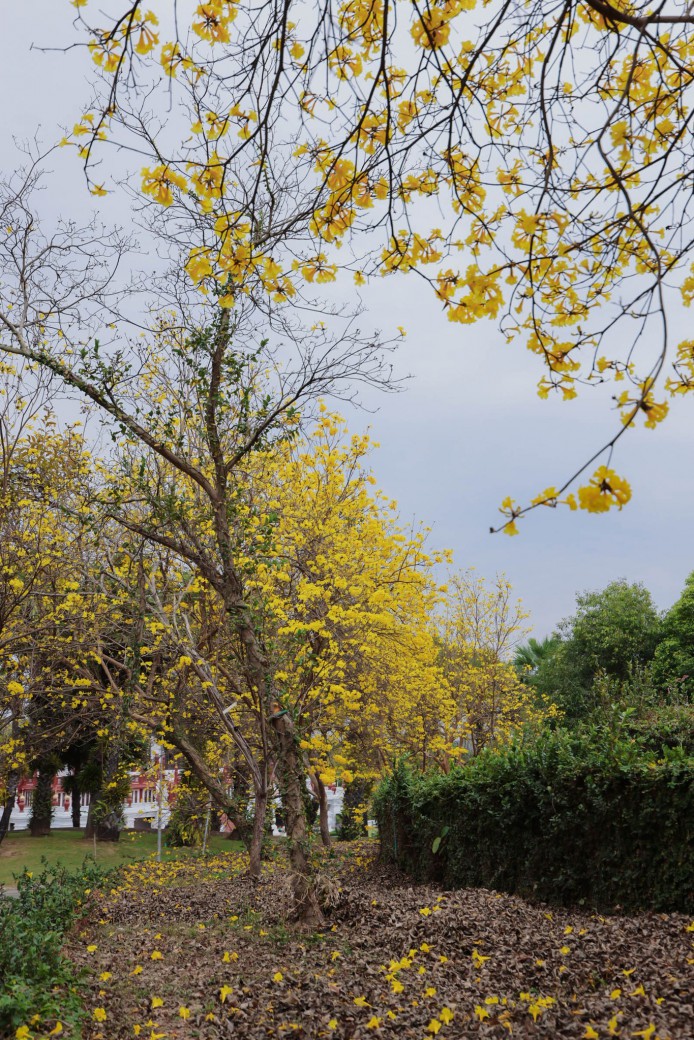 FILE-20260225-1333MKEG9RLB8L9T