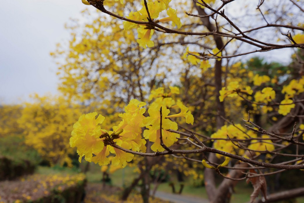 FILE-20260225-1347B3J7WQHXET7T