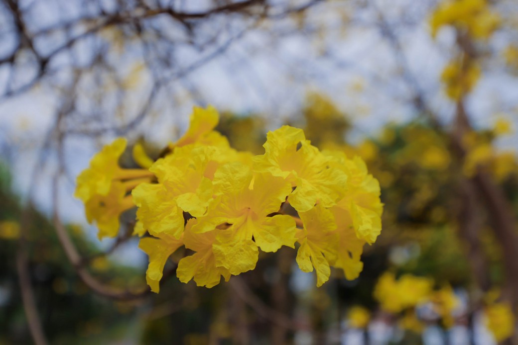 FILE-20260225-1351DQ22EZX6T6JA