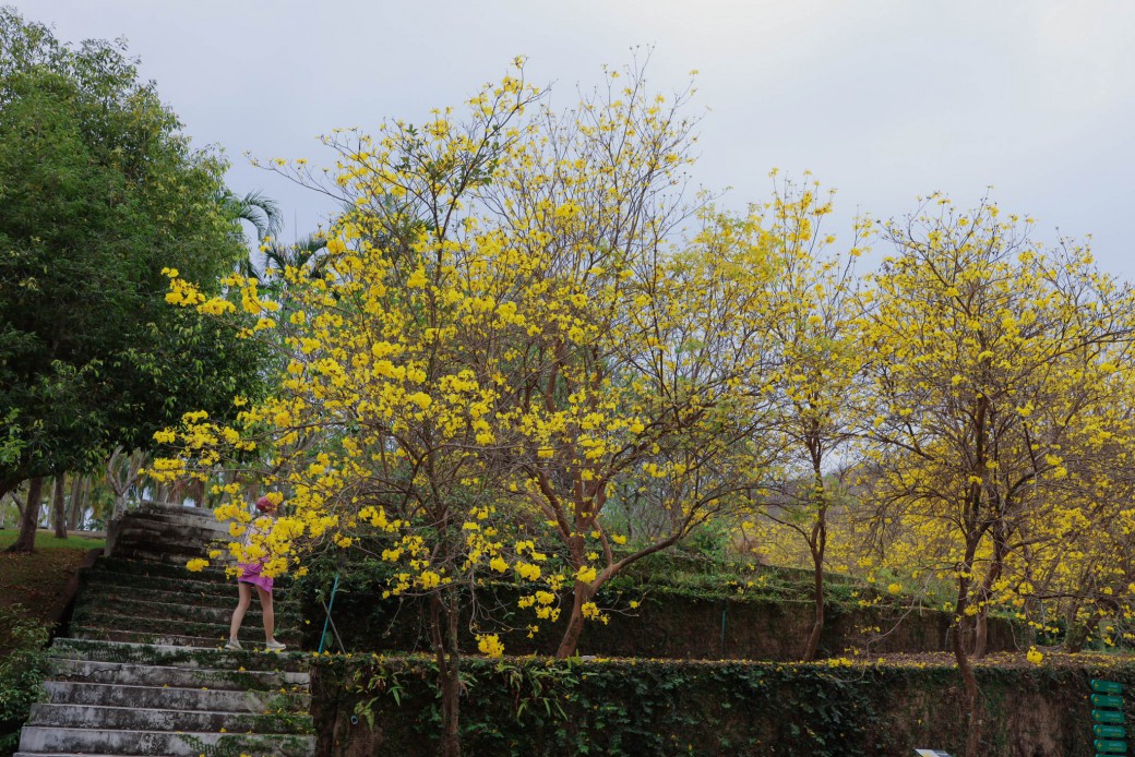 FILE-20260225-1359F8PJAABKAK1U