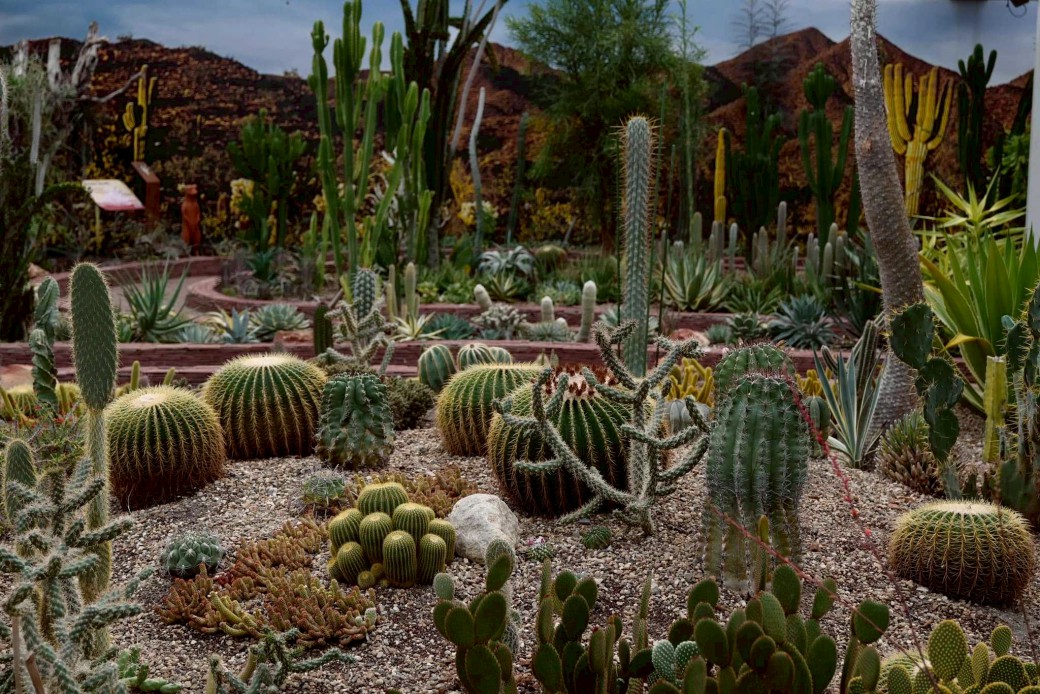 FILE-20260304-1101FVW8N4K8DTJQ