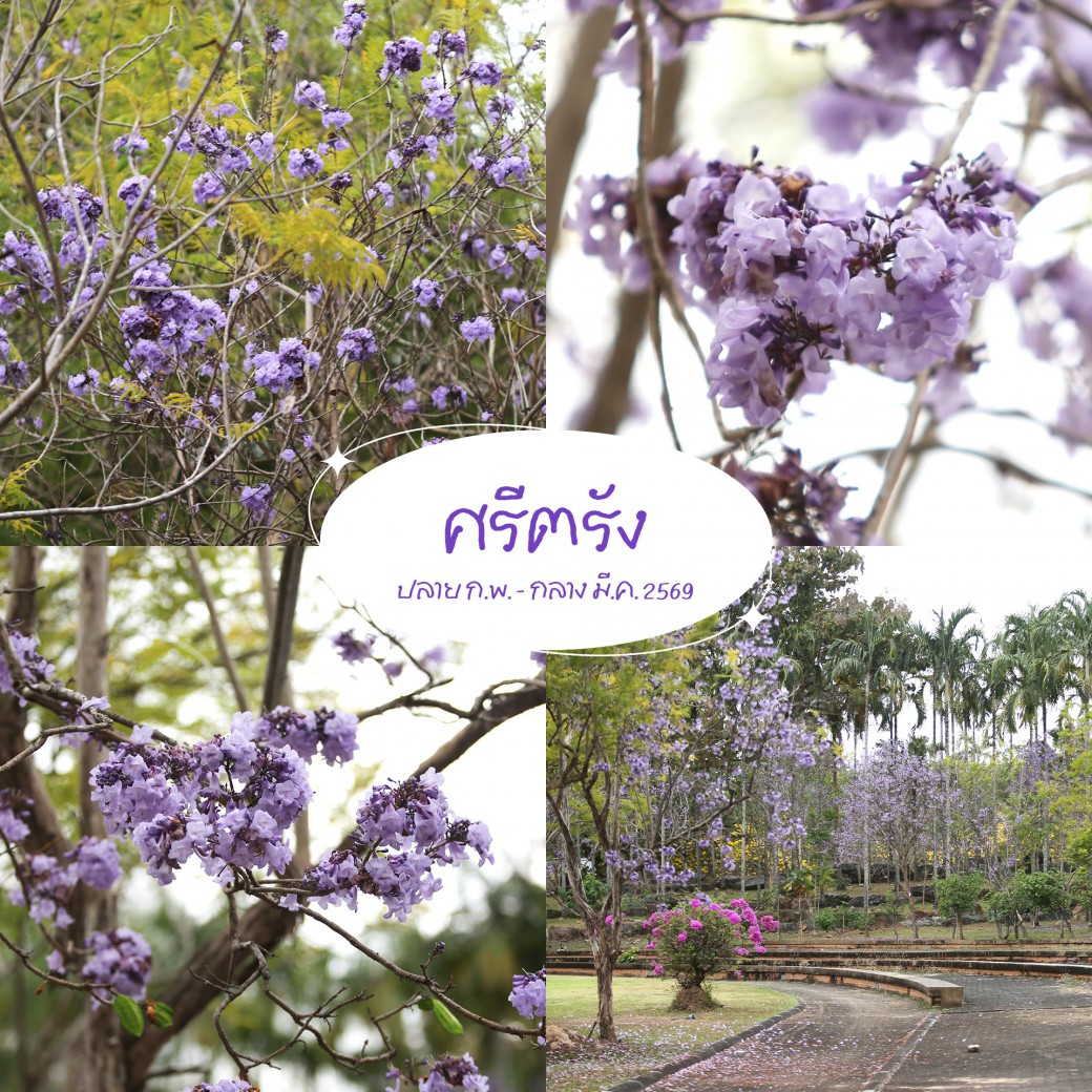 FILE-20260304-1101Q95FQG32C4UZ