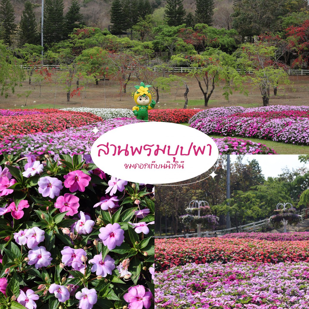 FILE-20260304-1105KMZXF9NG76UP