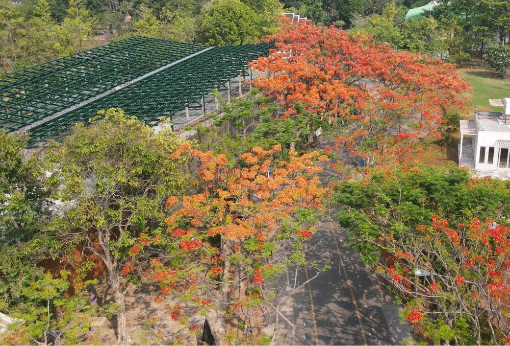 FILE-20260304-1105RBEE6A7EXY9U