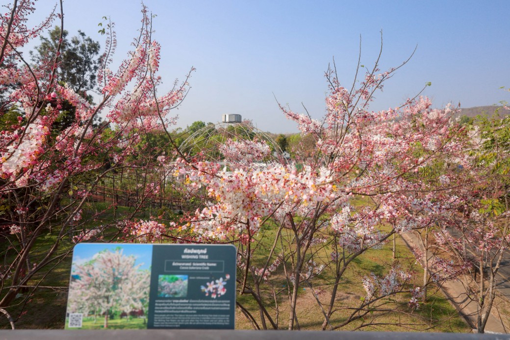 FILE-20260304-11235JHDVFSL9FBB