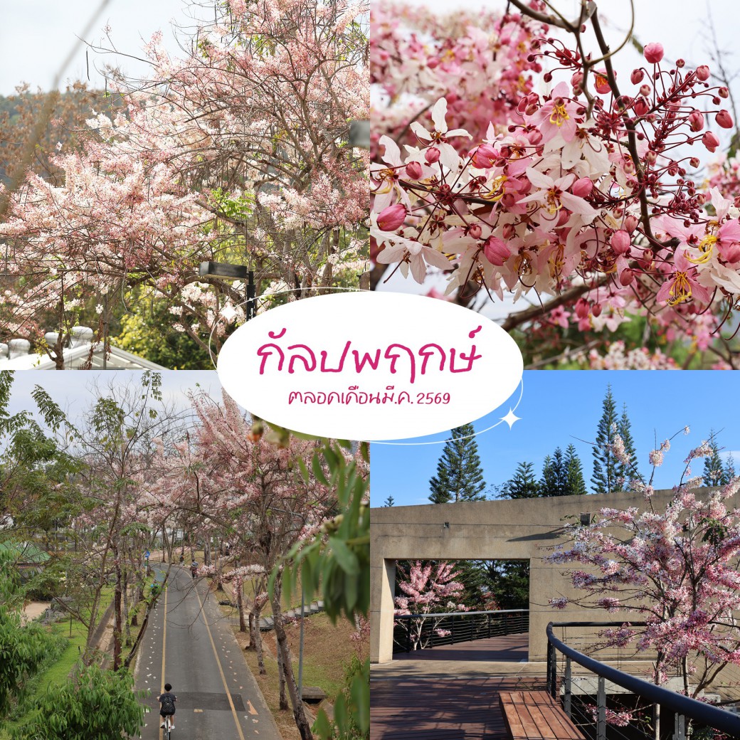 FILE-20260304-1124V9CQ4VKCDNV6