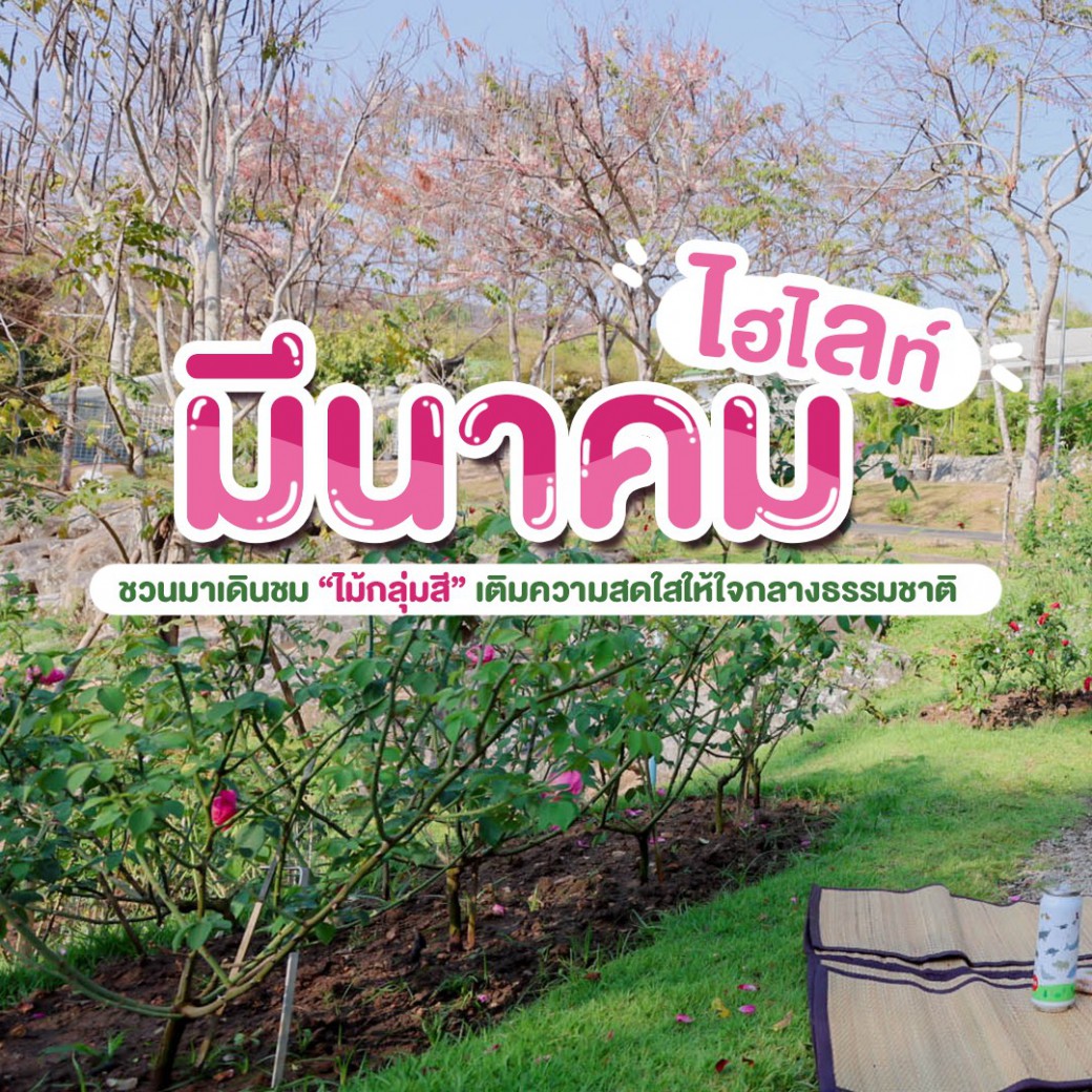 FILE-20260304-1128YGAEKZSAX8ML