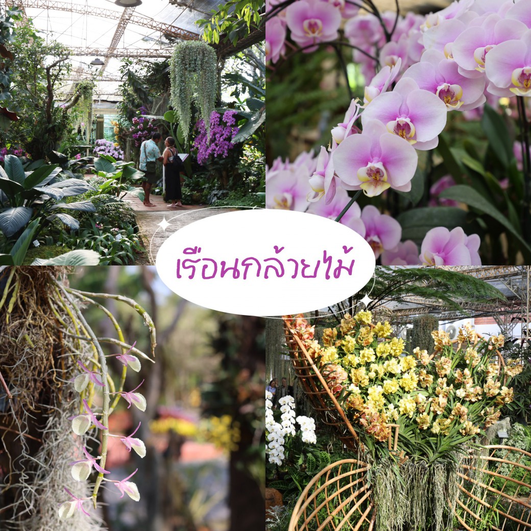 FILE-20260304-1134WAKXQ775JKMD