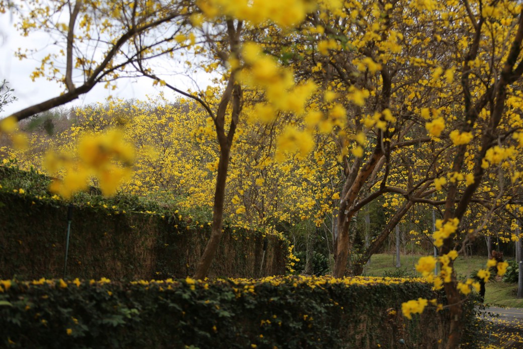 FILE-20260304-1136SG681NW8TU5S