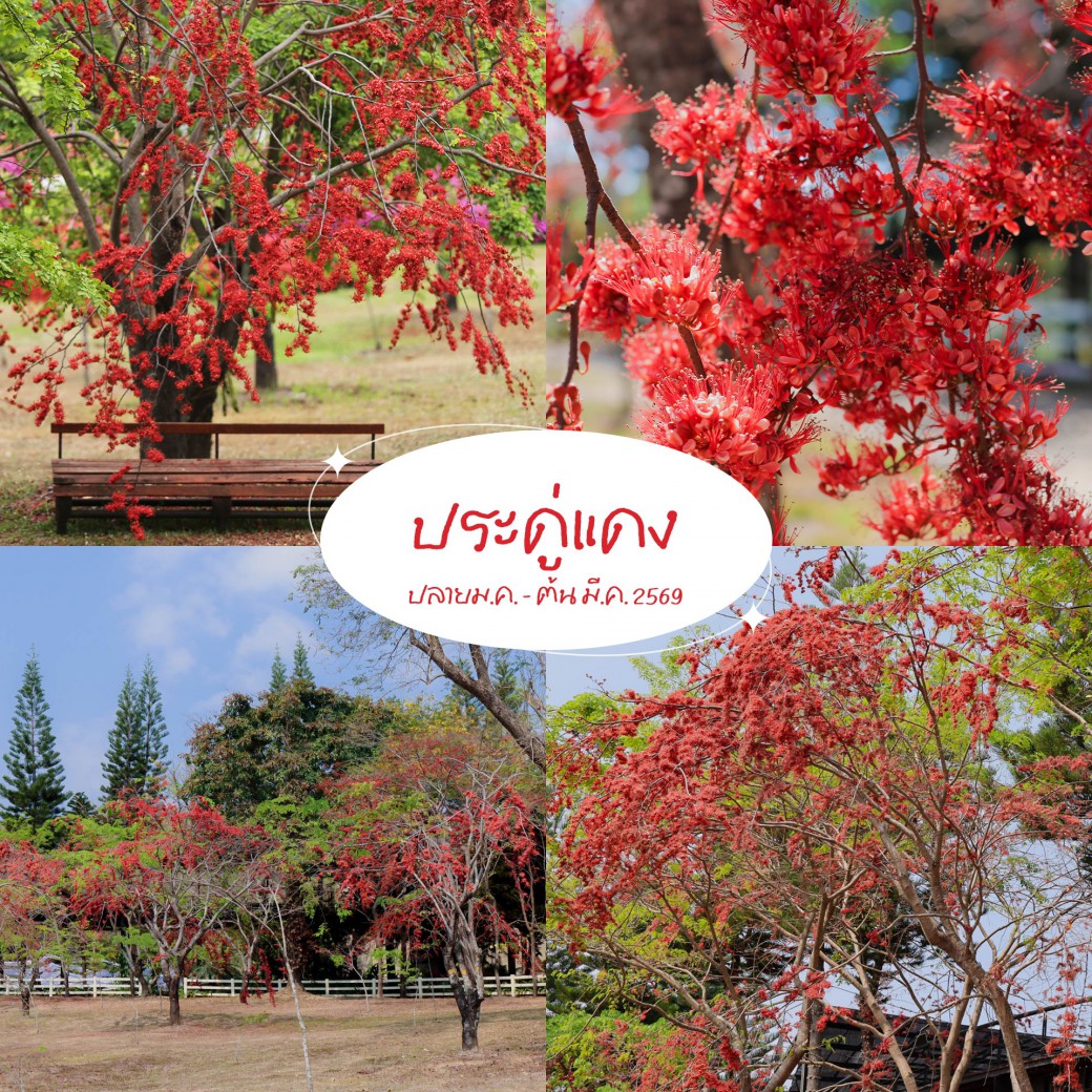 FILE-20260304-1138YX8XFG45SQNR