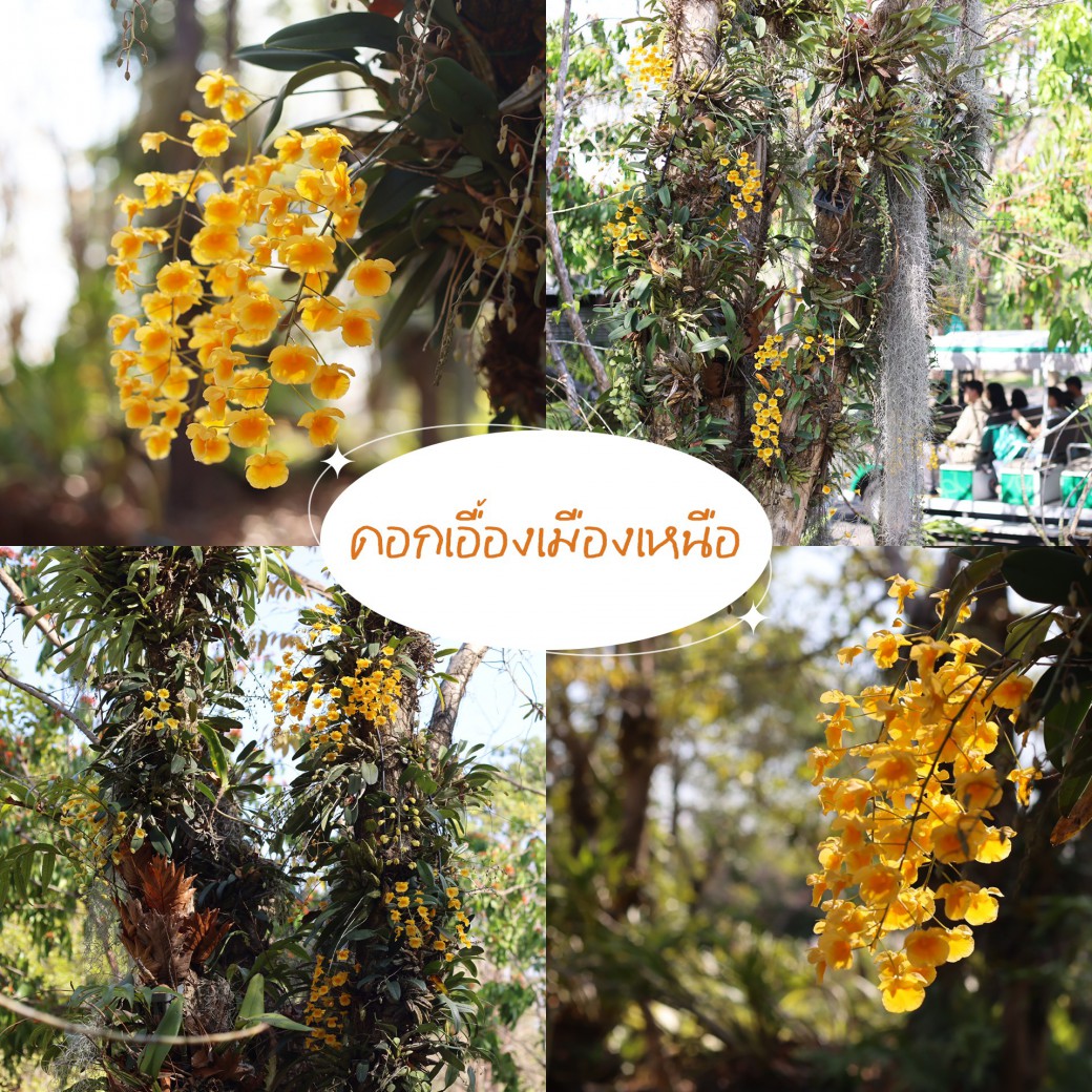 FILE-20260304-1141F63R7RL3XTCT