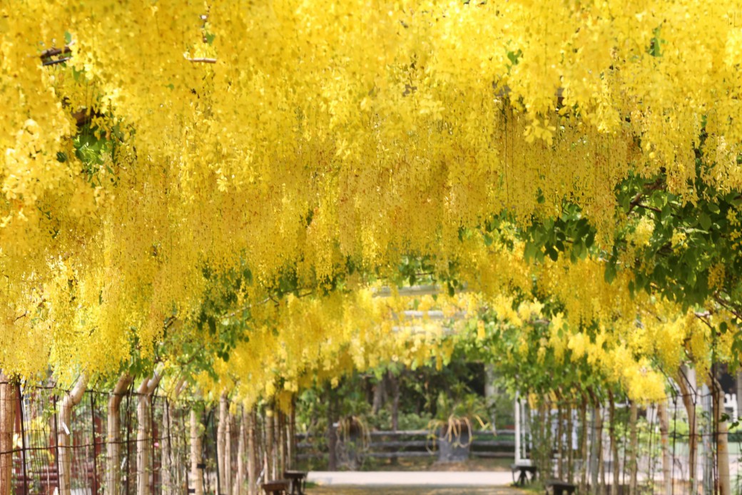 FILE-20260304-114367T15KWHHSNJ